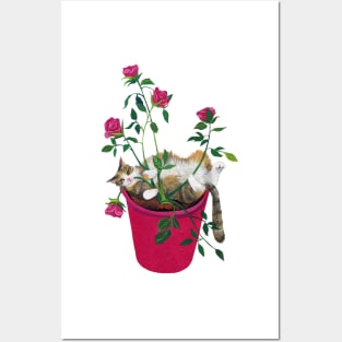 Cat among roses Posters and Art